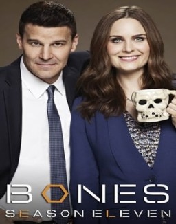 Bones T11