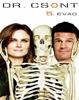 Bones temporada  5 online