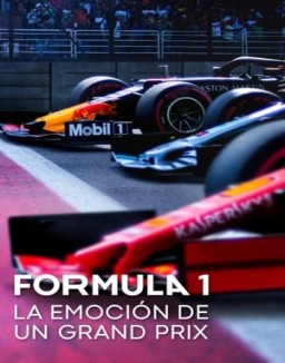 Fórmula 1: La emoción de un Grand Prix T1