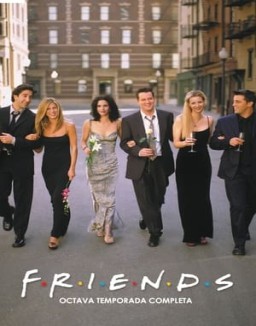 Friends temporada  8 online