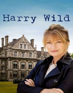 Harry Wild temporada  1 online