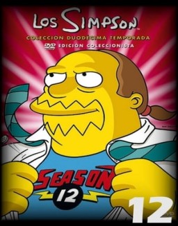 Los Simpson T12