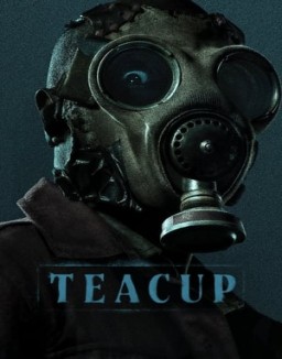 Teacup T1