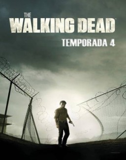 The Walking Dead temporada  4 online