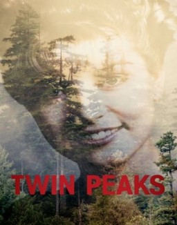 Twin Peaks temporada  1 online