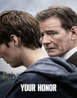 Your Honor temporada  1 online